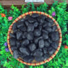 Tumbled Black Limestone Pebble ~ 20mm – 30mm
