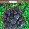 Tumbled Black Limestone Pebble ~ 30mm – 50mm